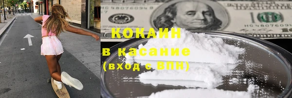 шишки Баксан