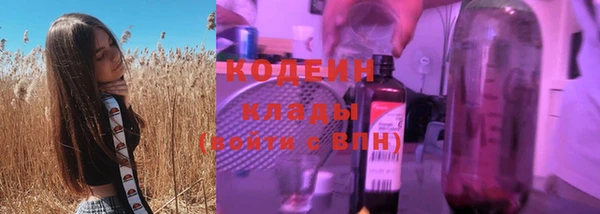 хмурый Аркадак