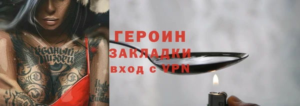 хмурый Аркадак