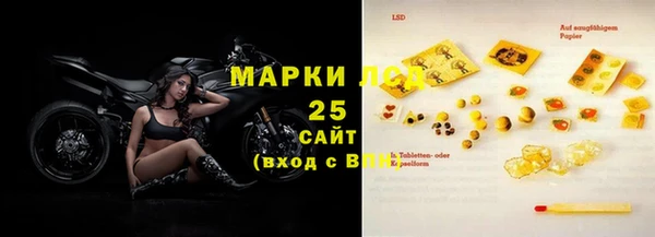 хмурый Аркадак