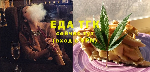 хмурый Аркадак