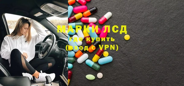 хмурый Аркадак
