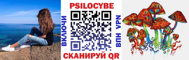 Галлюциногенные грибы Psilocybine cubensis  kraken вход  Буй  магазин   